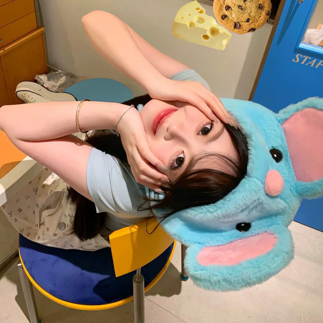 小象守护者
